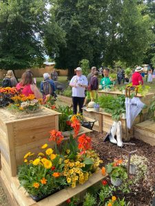 Hampton Court Flower Show